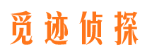 宁乡外遇调查取证